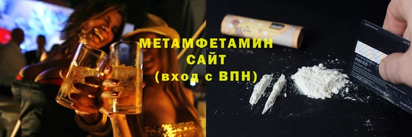 дживик Ельня