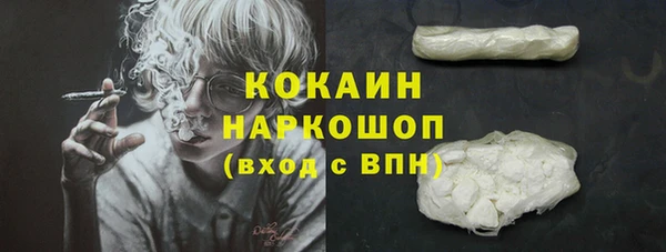 стаф Баксан