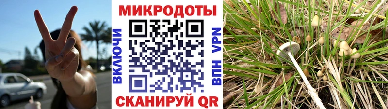 Псилоцибиновые грибы Psilocybe  мега рабочий сайт  Гусиноозёрск 