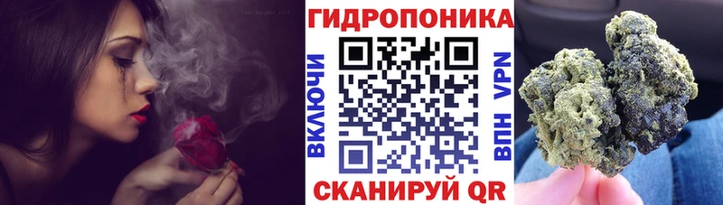 Конопля семена MEGA как войти Гусиноозёрск